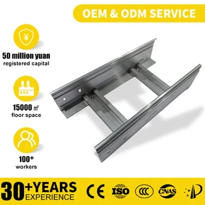 Factory Direct Sales Industrial Construction Aluminum Alloy Durable Heat Dissipation Ladder Cable Tray Customizable Side Rail