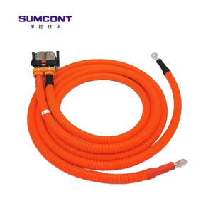 New OEM ODM Customized Electric Bus Wire Harness 6-121PIN 12V 24V 380V PVC Copper EV Conversion Kits