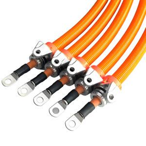 Customized High Voltage EV Cable Wiring Harness for Pump Motor Power Harness for Electronic Vehicle
