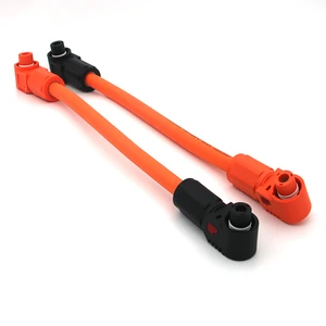 Factory Customization Support Custom New Energy Storage Connector EV Wire Harness Power Cable