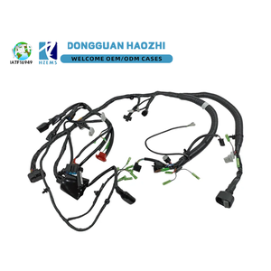 19_Wiring Harness Factory Professional OEM ODM Electrical Wiring Harness