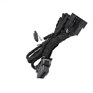 Customized Car Wiring Harness With VGA Connector For Car Navigation Adapter And DC Terminal-Source Manufacturer