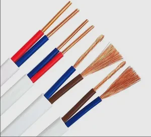 PVC Insulated Electric Wire Cable for Building and Construction BV/BVV/RV/Rvv/Rvs/Rvb Copper Wire