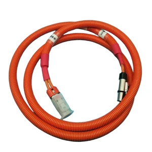 Brave Auto Wire Harness for High Voltage (220V) Power Transmission PVC Insulated Copper Conductor IP68 Rated for Automobile