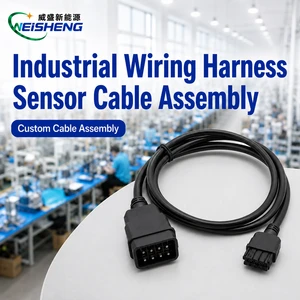 Custom Industrial Wiring Harness Control Cabinet PLC Sensor Cable Assembly OEM