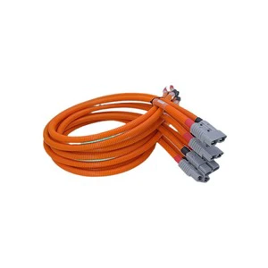 High-voltage Wiring Harnesses for New Energy Vehicles, Complete Range, Customization Available.