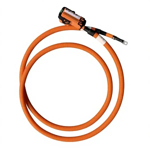 3798-11-06145 Zhongtong Bus Power Batteries Harness1 Bus Battery High-voltage Wiring Harness