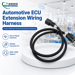 CAN Bus Extension Wiring Harness with Sealed Connectors for Automotive ECU