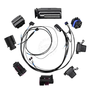 OEM/ODM Wiring Harness Manufacturer for Automobile Wire Harness or Agriculture Wiring Harness Match Brand Connector Just Inquire