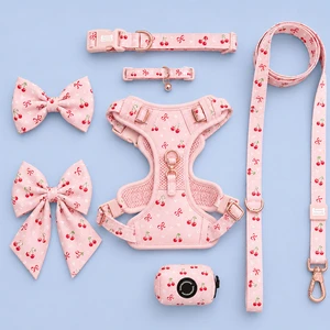 OEM ODM Customized Reflective Padded Neoprene Polyester Vest-style No-pull Dog Harness Set Dual D-Ring Quick-Release Buckles CE