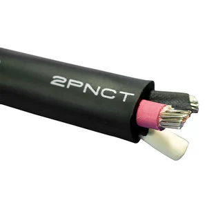 600V TOR-2PNCT 2PNCT-T 2PNCT-B Torsion System Flexible Rubber Crane Festoon Cable