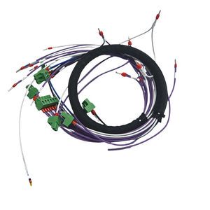 China High Quality Copper Core Automotive Wiring Harness PTFE Rubber for Electronic Cars Trucks-Customized Cable Harnesses
