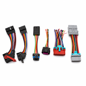 Wholesale Custom Multi Color High Density Automotive Equipment Wire Harness Cable Assembly for Vehicle Electrical System