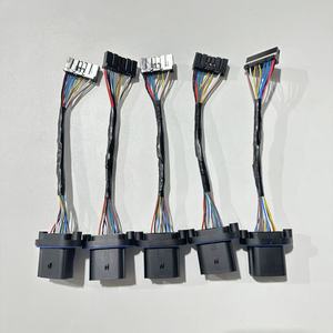Factory Ground Electrical Wiring Harness Various Vehicles Industry Cable Assembly for Various Vehicles