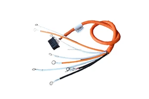 Wholesales Price Automotive Wire Harness Support Custom Wiring Harnesses Automotive