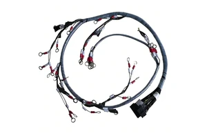 Humanoid Robot Wiring Harness Custom OEM,Humanoid Robot Joint Wire Harness Supplier,Humanoid Robot Spare Parts Wiring Harness