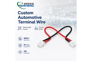 125mm 2P Double-ended Insulated Cable Same Direction Pitch 2-pin Red Black Terminal Cable Reverse Polarity Wire Harness