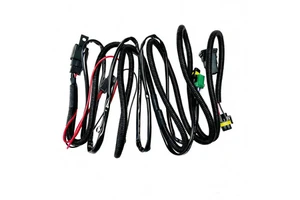 Fog Light Car Wiring Harness Assembly Loom Manufacturer