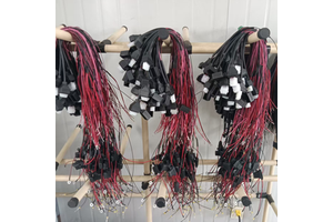 China Manufacturer Auto Wire Harness Car Wiring Harness/ Automotive wire/Automobile wiring Harness