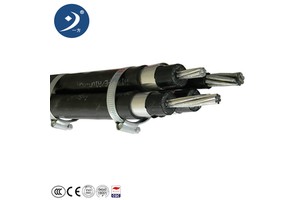 BT Pre-Assembled Single-Core Aluminum XLPE Power Cable 3x95+70 90°C 280A Black 0.6 KV