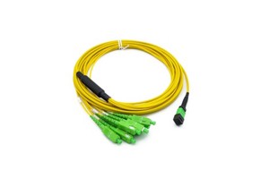 RUIARA MPO SC 8F G652D Singlemode Fiber Optic Patch Cable FTTH Telecom/Data Center Low Loss LSZH 3.0mm 1m Customized Length