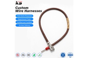 Ptfe Automotive Wiring Harness High Temperature Resistant Chemical Proof Industrial Machinery Equipment Custom Made