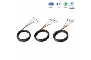 Custom Multi Core Industrial Wire Harness Assembly with Crimp Terminal for PLC Automation Equipment
