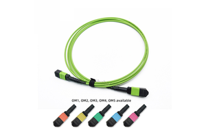 High Quality MTP/MPO Fiber Optic Cable Singlemode G657A1/A2 PVC LSZH 8/12/24 Core Trunk Assembly Datacenter 40G/100G Custom