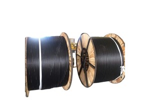 Building Construction Passenger Hoist Lift Rack Elevator Electrical Cable