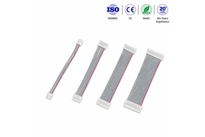 Custom Flat Ribbon Cable Assembly Multi Pin Wire Harness for Industrial Control and Electronic Equipment