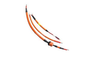 New Energy Vehicles High Voltage Cable 125 Degrees Celsius High Temperature Waterproof Connection EV Harness Customization
