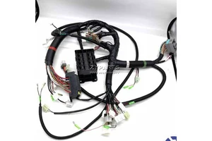 Internal Wiring Harness 0003322