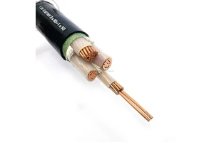 0.6/1kV XLPE Insulated YJV Power Cable Flame Retardant High Temperature Copper for Building Distribution Industrial Transmission