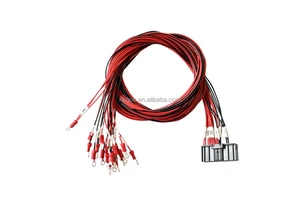 Professional Customized Cable Electronic Harness Water Purifier Wiring/Y-port Harness Electrical Wiring Harness