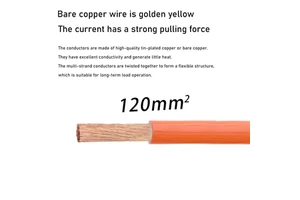 IEC Standard EV High Voltage Cable Flame Retardant for Hybrid Car Power Conversion Unit