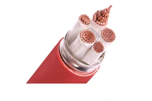 Copper Core Inorganic Mineral Insulated Copper Sheathed Flexible Fireproof Industrial Use IP54 PVC Jacket Cable NG-A