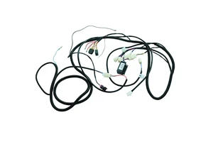 High Temperature Plug AC Wire Harness Assembly Copper Core Waterproof for Toyota/Honda Customizable Wiring Harness
