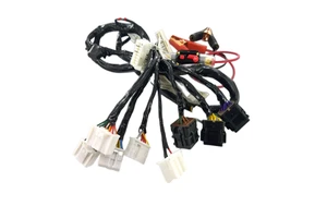 Custom Cable New Energy Electric Car Auto Automotive Vehicle Wiring Harness