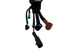 Custom Auto Mobile Wire Harness Automotive Cable Terminal Assemblies for Automobile Application