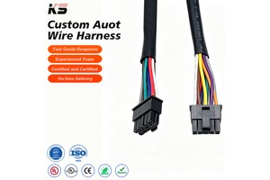 Custom Auto Wire Harness Reliable Electrical Cable Assembly for Automotive Interior Parts