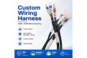 Custom Multi-Core Industrial Wiring Harness with JST Connectors and Labeled Terminals for Control Systems