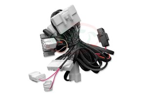 Manufacturer Supply Custom-Made Automotive Wire Harness PVC/Nylon Tinned Copper Conductor 600V Rated RoHS for for Cars