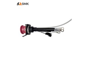 OEM Custom Automotive Engine Wiring Harness Assembly Waterproof Auto Cable Harness For EFI System Vehicle Electrical Wiring