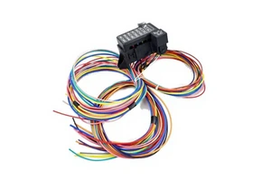 Brand New Made in China Wiring Harness 1807419C96 2067958-00-B 1842380C95