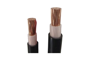 YJV-1*50mm ² Copper Core Single Core XLPE Insulated PVC Sheathed Power Cable