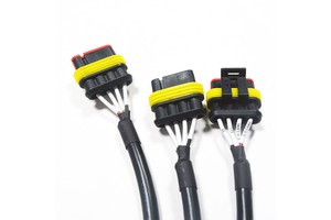 Custom Auto ECU Wiring Harness Engine Car Cable Assembly AMP Automotive Insulated Connecting Electric Equipment Wire Assembly