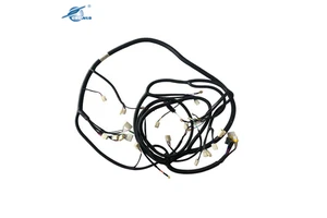 Manufacturer Custom Electric Wire Harness Cable Assembly Forklift Parts Wiring Harness