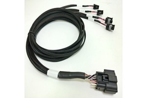 Automotive OEM Custom Waterproof Wiring Harness