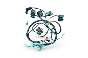OEM High Quality PVC Insulation 250cc Fog Lamp Assembly 15cm Engine Wiring Harness for Off-Road Vehicle