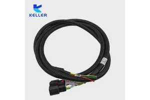 High Temperature Resistant Custom Cable Assembly Connect Wire Hv Automotive Signal Wire Harness for Automotive System